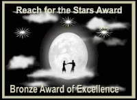 Reach for the Stars Award: Bronze