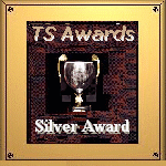 Webuilders TS Awards: Silver