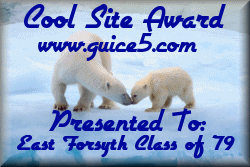 Guice 5 Cool Site Award